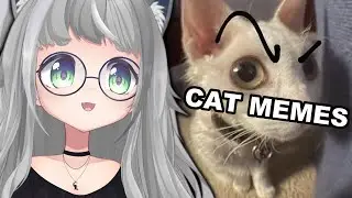 КОШКИ, КОШКИ И ЕЩЁ БОЛЬШЕ КОШЕК | Реакция Vtuber Fuwa на подборку мемов с кошками из Discord