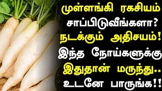முள்ளங்கி சாப்பிட்டால் 10 நன்மைகள்! |Radish Health Benefits in Tamil| Mullangi Health Tips in Tamil 