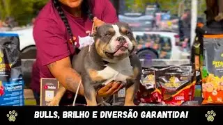 BULLS, BRILHO e DIVERSÃO GARANTIDA! 🤩
