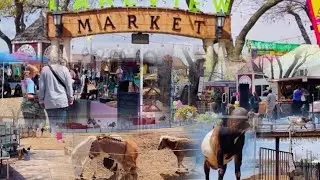 Farmers Market Lakeview , Farm Animals, Route 66 ,Lake Overholser , Yukon , Oklahoma
