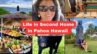 Life in Pahoa Hawaii, Second Home, Kaimu Beach, Makuu Farmers Market, Painting, Pigs, Vlog 7