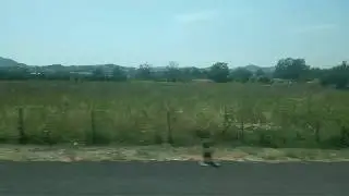 GOTTA GO FAST 2