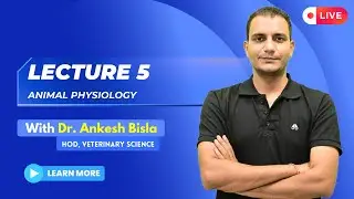 Animal Physiology | By Dr. Ankesh Bisla | Complete Lecture 5