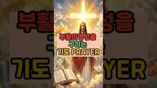 부활의 영성을 구하는 기도 ㅣPRAYER