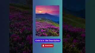 CSS Card Hover Effects | Only HTML and CSS