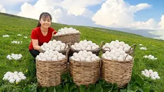 TIMELAPSE -- Harvesting Many Giant Wild Ducks Eggs & Goes to Market Sell – Highland Village Life