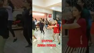 zumba fitness power 