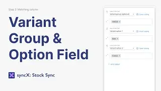 Set Variant Group & Options in syncX: Stock Sync (Column Matching)