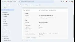 Google Search Console Page Indexing Report