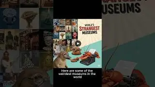World&rsquo;s Strangest Museums