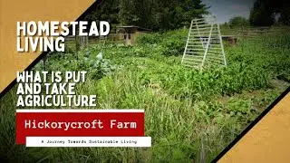 Homestead Living | Put and Take Agriculture