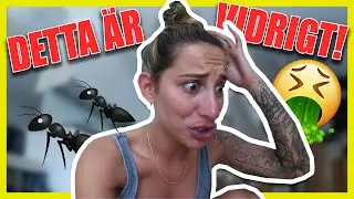 VI MÅSTE FLYTTA NU!!!