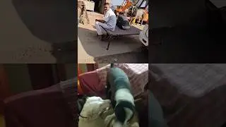 बगल वाले भैया ने कहाकी काटता है#shortvideo #trending #dogvideos #youtubeshorts