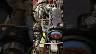 Big Turbo D16z6