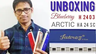 Распаковка хроматической губной гармошки Juarez | Дешево и выгодно | Arctic HA 24 SC, Blueberry H...
