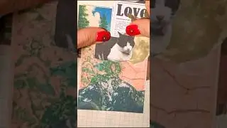 коллаж. ТГ: HomoMotrosikus