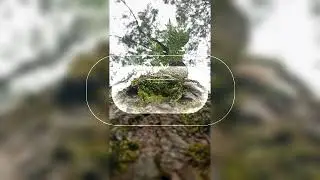 Traveling/ Song (instrumental music)