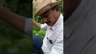 VISIT TO MANAS NATIONAL PARK ,TIGER RESERVE