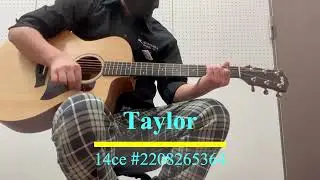 【試奏動画】Taylor 14ce #2208265364【クロサワ楽器 G-CLUB UMEDA】