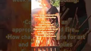 #unschooling is always full of unexpected surprises. #funny #funnymemes #twoingredients #fire