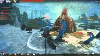Vindictus Beta: King Icedredge and Quiremigal