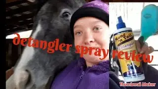 Mane & Tail Detangler [ Review]