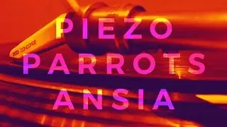 Piezo - Parrots