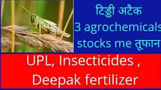 Upl, insecticide india limited, Deepak fertilizer share latest news | stock analysis | price target