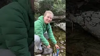 Alpine River water testing
