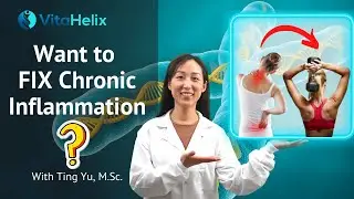 Can a dietary supplement fix chronic inflammation? | Ting Yu, M.Sc. | VitaHelix