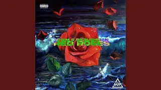 Red Roses