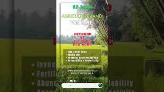 🌾 8.5 Acres Agriculture Land for Sale | Main Road Bit @ Mypadu Road Nellore