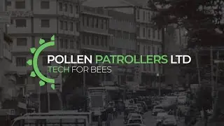 Pollen Patrollers Ltd | Young Environmentalist Innovation Challenge 2025 | Finalist