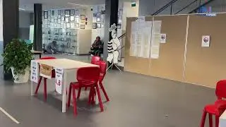 Escola de Rio Tinto, em Gondomar, simula o ato eleitoral