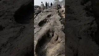 Why Were These Giant Footprints Found in Stone?
