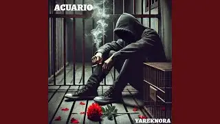 NOCHE FRIA