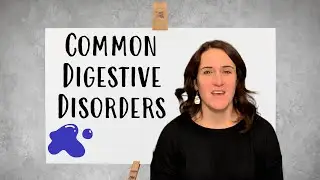 Common Digestive Disorders | Chiropractor for Gut Health in Sun Prairie, WI