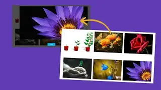 Galeria, Con Efecto LightBox, Html, Css & JavaScript