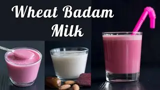 Wheat Badam Milk for Babies, Toddlers & Kids || Increases Color and Weight || Healthy Protein Food