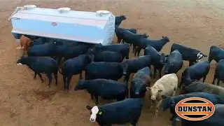Large capacity feeders used to finish cattle at Parwan
