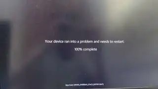 Baby joy Crying Hast BSOD