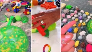 Real Fidget Trading with my dad / sister #28 | Tik Tok