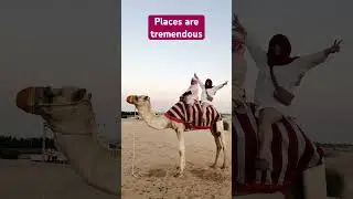Dubai adventure 2024