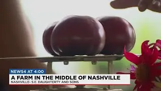 Positively Tennessee, Farms in Davidson County