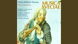 Flute Concerto in G Major, BeRI 54: III. Allegro