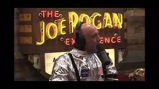 Joe Rogan on Hardcore and Ray Cappo (Raghunath Das)