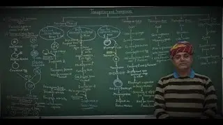 TRANSFECTION AND TRANSGENESIS