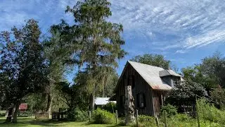 Dudley Farm Historic State Park | Relaxing Nature Walk 4K