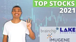3 TOP ASX Growth Stocks From 2021: Year In Review (BRN, LKE, IMU)