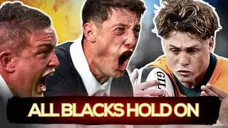 Драма Бледислоу: All Blacks переживают панику от Wallabies